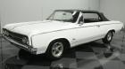1964 Oldsmobile Cutlass F85 Deluxe Convertible 330 v8 92450 Miles