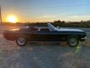 1965 Ford Mustang 2400 original miles Gasoline