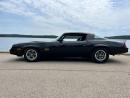 1978 Chevrolet Camaro Small Block V 8 350 Engine